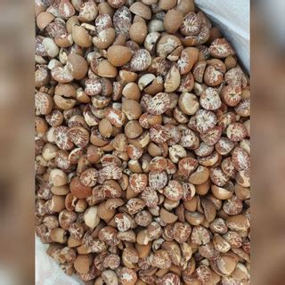 Jual Biji Pinang Tua Belah Obat Herbal Alami Jambe Betelnut 250