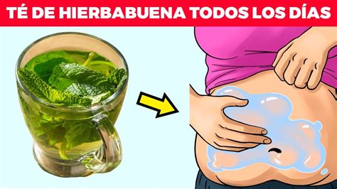 Los Increíbles Beneficios Del Té De Hierbabuena Con Bicarbonato Que Debes Conocer Rocio Nandez