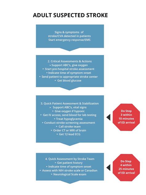 Acute Stroke 2 Major Types Of Strokes Ischemic Stroke