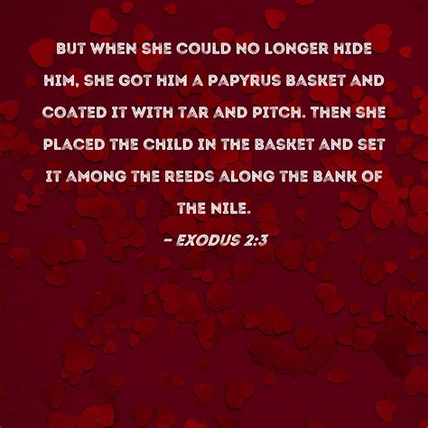 Exodus 23 But When She Could No Longer Hide Him She Got Him A Papyrus