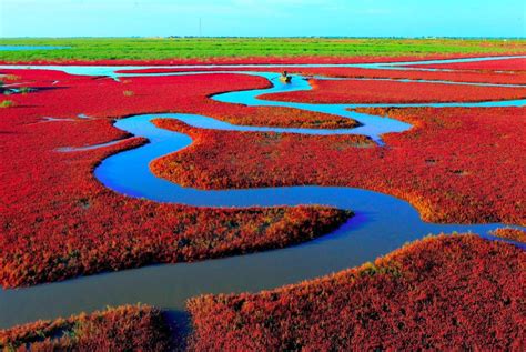 Amazing Red Beach in China - ViewKick