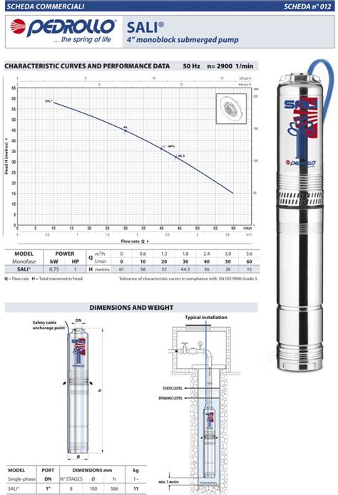 Pedrollo Monoblock Sali Sand Resistant Submerged Pump