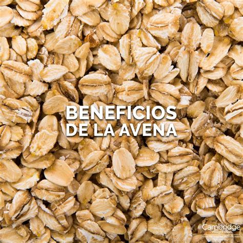 Los Fantásticos Beneficios De La Avena Para La Salud😉 La Avena Es Una Gran Fuente De Energía En