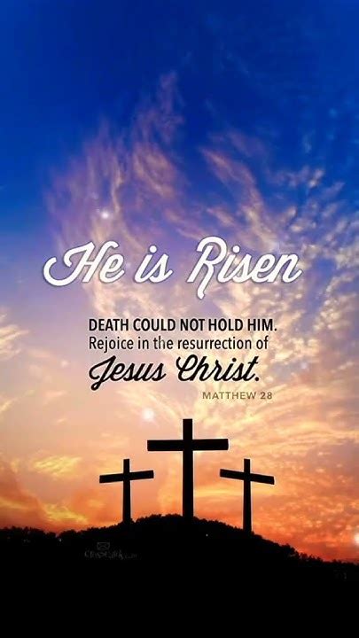 Happy Easter All World God Bless You Thanks You Jesus Christ 🕊️🕊️🕊️☦️♥️