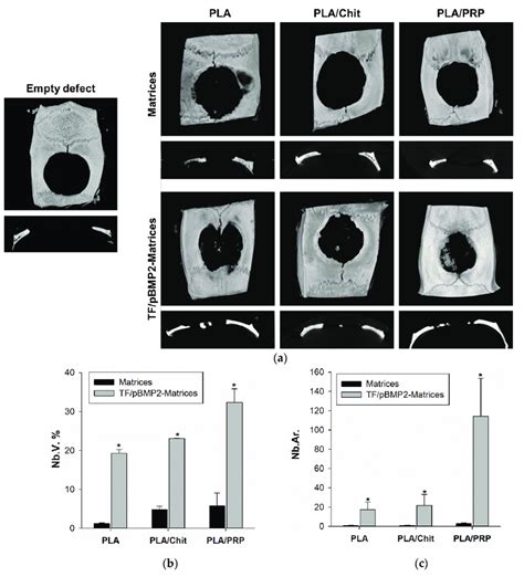 Critical Size Bone Defect Regeneration In Rats A Micro CT Data Of