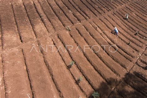 PENGENDALIAN ALIH FUNGSI LAHAN ANTARA Foto