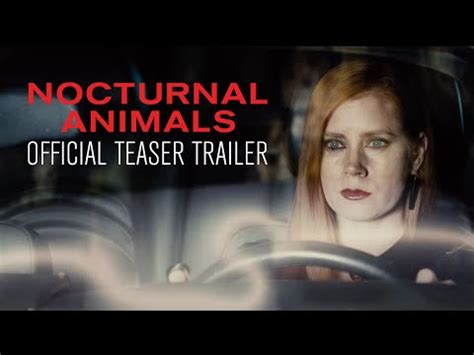 Nocturnal Animals Trailer | POPSUGAR Entertainment