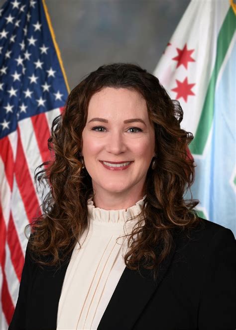 Cook county case lookup tools are essential for local legal research 14