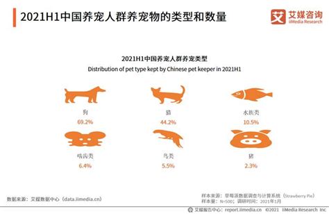 宠物行业数据分析：2021h1中国692养宠人群的宠物是狗狗猫新浪新闻