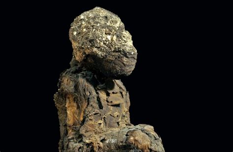 Mummified Baboons Shine New Light On The Lost Land Of Punt