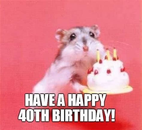 101 Funny 40th Birthday Memes To Take The Dread Out Of Turning 40