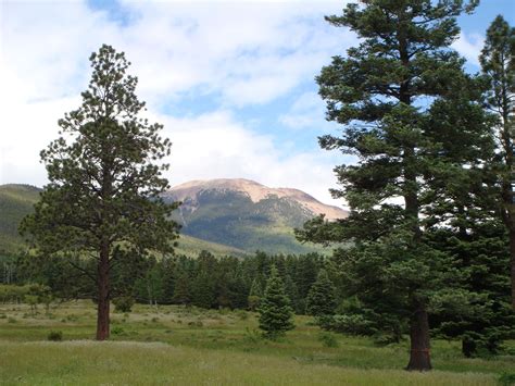 Baldy Mountain Philwiki Fandom