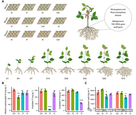 Nature Communications 中科院王二涛曹晓风等团队合作在植物根系相关微生物组的定量动态方面取得新进展 知乎