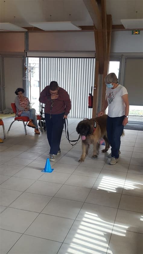 La médiation animale au FAM Sous La Roche ADAPEI 01