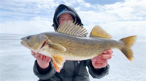 ICE FISHING Green Bay Walleyes How To YouTube