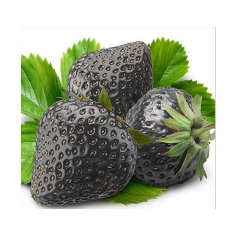 Black Strawberry Seeds - Exotic Rare - Prijs: €2.25