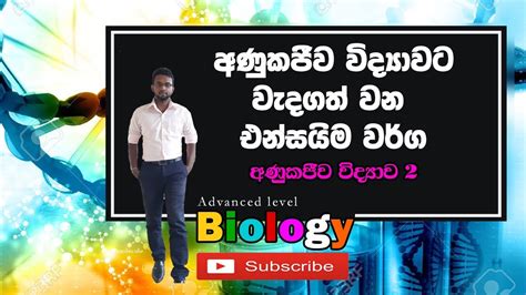 Al Biologyඅණුකජීව විද්‍යාව හා සම්බන්ධ එන්සයිම Molecular Biology In