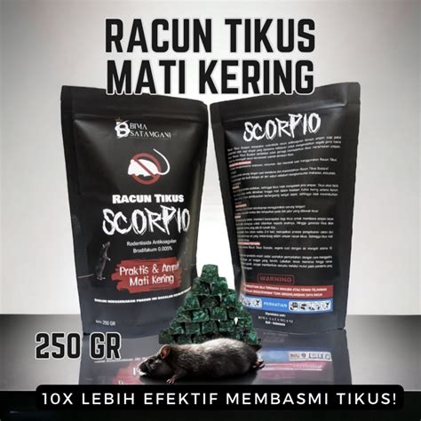 Jual Racun Tikus Mati Kering Praktis Dan Ampuh Scorpio Obat Racun Tikus