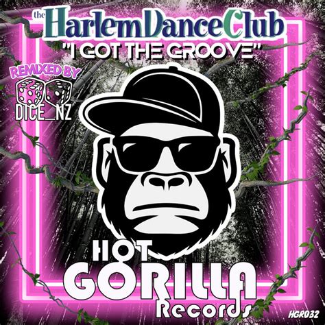 I got the Groove (DiCE_NZ's Stole Tha Groove Remix) | DiCE_NZ