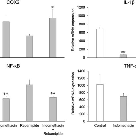 Effects Of Indomethacin And Rebamipide On Cox 2 Il 1β Nf κb And