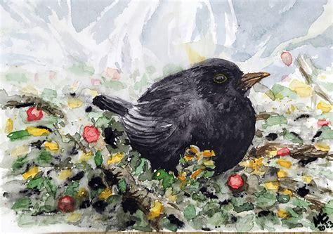 Amsel Lichtklecks De