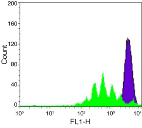 Celltrace™ Cfse Cell Proliferation Kit For Flow Cytometry