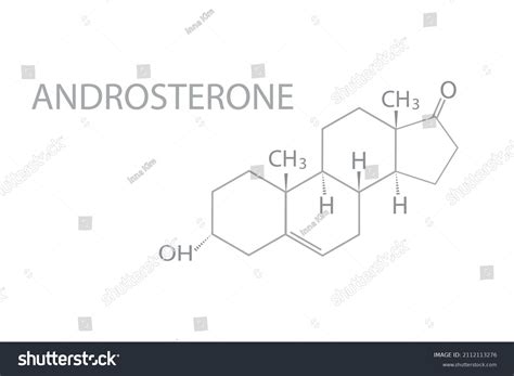 Androsterone Endogenous Steroid Hormone Structural Chemical Stock