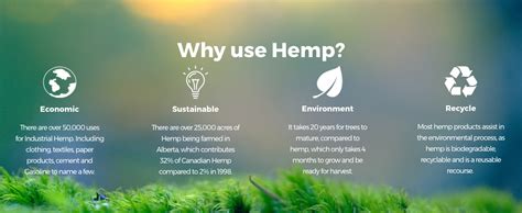 Pin Di BioComposites Group Su Hemp Facts