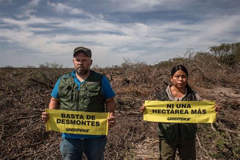 Fundación Greenpeace Argentina A 15 Años De La Ley De Bosques Es