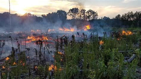 Firefighters Battle Blaze At Harbison State Forest