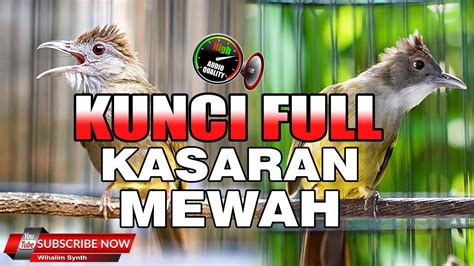 CUCAK JENGGOT VS KAPAS TEMBAK GACOR KUNCI SUKSES MASTERAN FULL ISIAN