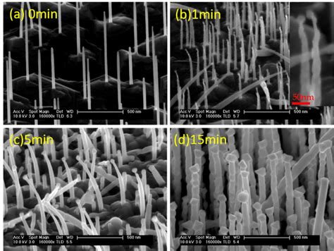 Tilt Sem Investigations Of Gaas Gasb Heterostructure Nanowires