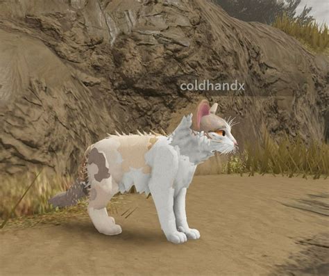 Cream Brown White Wcue Morph In 2024 Warrior Cats Warrior Cat Oc