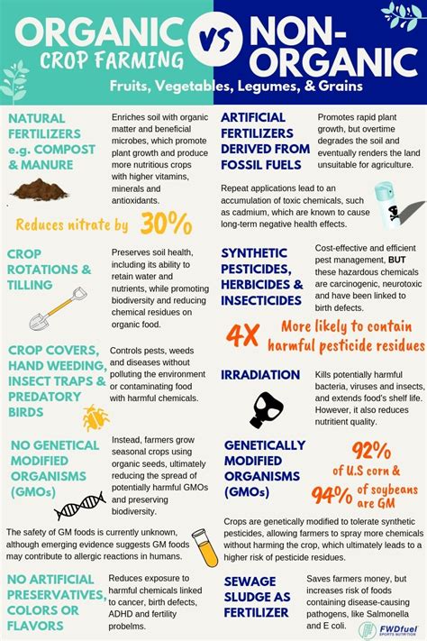 Organic Vs Non Organic Crop Farming