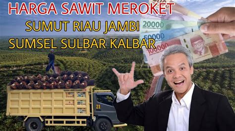 HARGA SAWIT MEROKET DI 6 PROVINSI SENTRA PERKEBUNAN CEK DAERAH MU