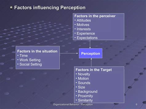 Perception | PPT