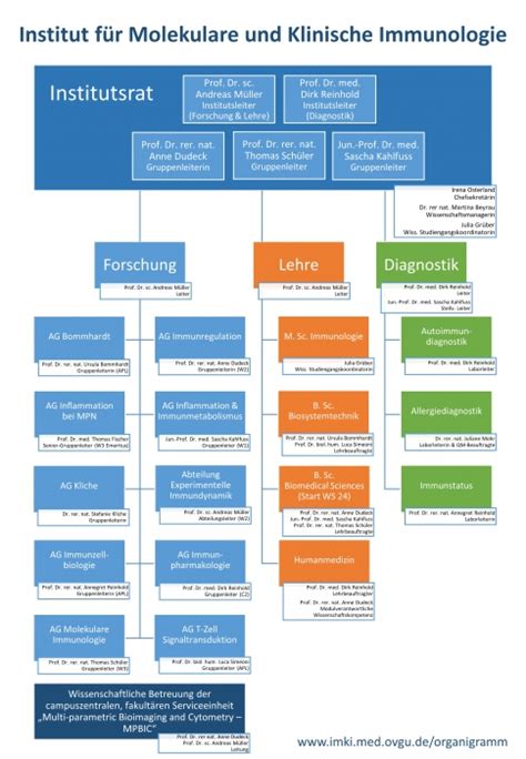 Institut F R Molekulare Und Klinische Immunologie Organisation Des
