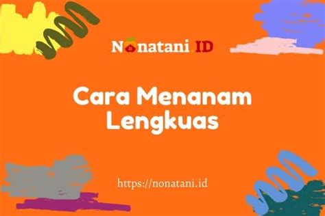 √#6 Cara Menanam Lengkuas untuk Pemula Awam - Nona Tani