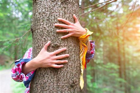 Hugging A Tree Stock Photo Image Of Hold Hands Body 8133750