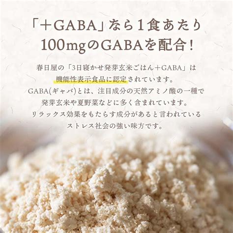 機能性表示食品 3日寝かせ発芽玄米ごはん＋gaba 30食セット【発芽玄米 酵素玄米 発酵玄米 寝かせ玄米 玄米ごはん レトルト