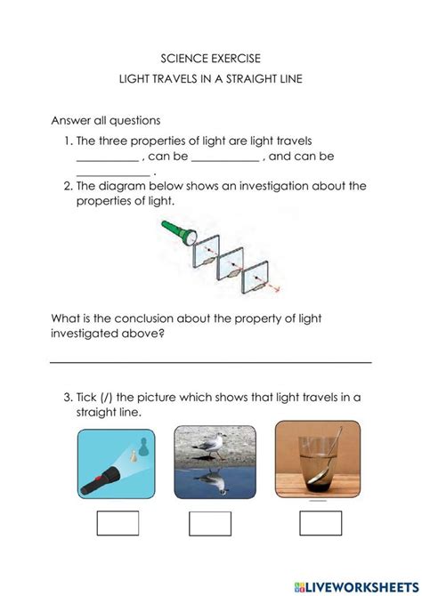 Light Travels In A Straight Line Interactive Worksheet Travel Light