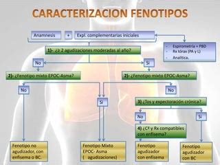 Abordaje De La Epoc En Atenci N Primaria Ppt