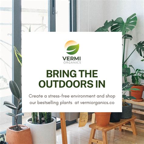 Vermi Organics On Linkedin Indoorplants Bringtheoutdoorsin