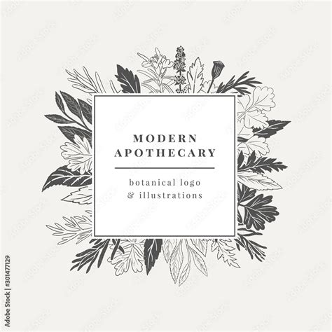 Apothecary Logo Hand Drawn Botanical Illustration With Various Plants