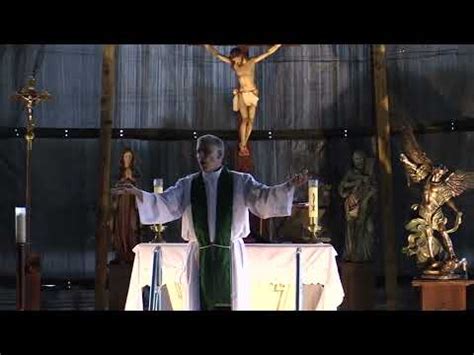 Father Mark Beard S Homily On The Fence Th Sunday In Ordinary