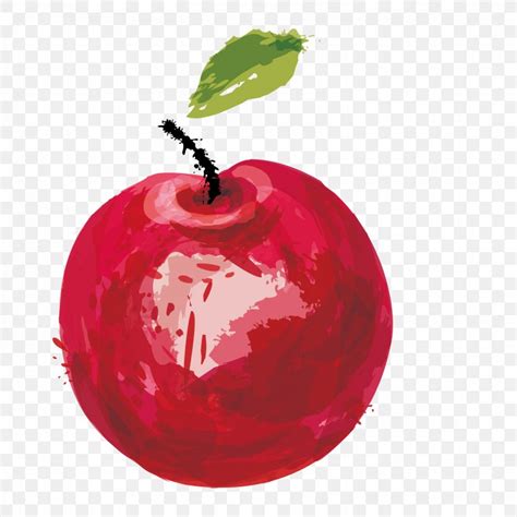 Watercolor Painting Vector Graphics Image Apple Download, PNG ...