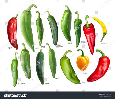 New Mexican Chili Peppers Hatch Chiles Stock Photo 1139048156