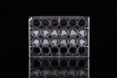 12 Cell Culture Inserts 24 Well Plate 725211 Nest Ushelf