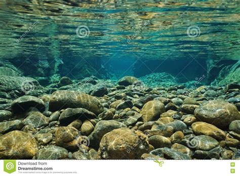 Rocks Underwater In Dumbea River New Caledonia