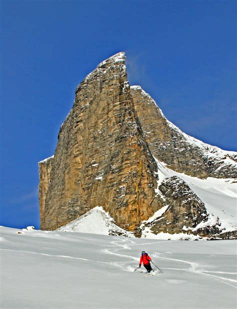 Kootenay Backcountry Skiing Arctos Guides